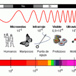 Frecuencias del espectro electromagnético