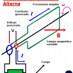 Generador AC (CA) - Generador de corriente alterna